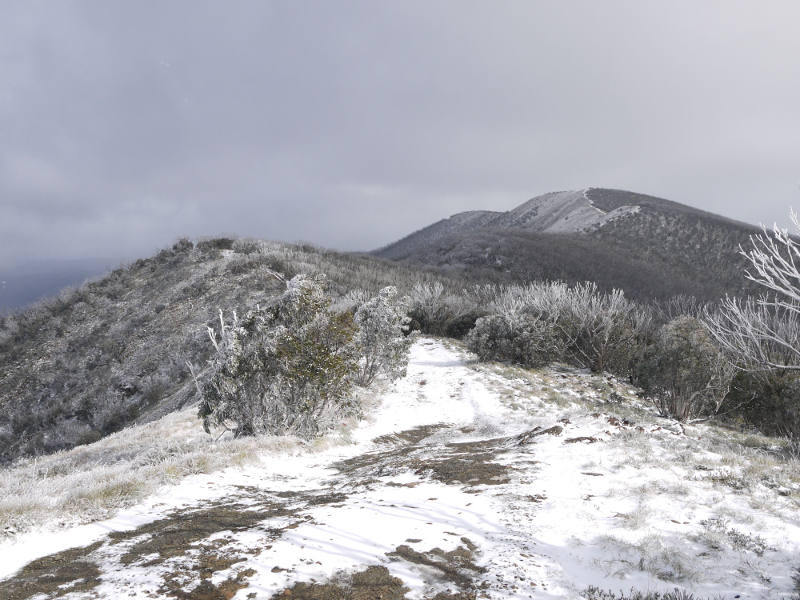 Snow scape May 2011